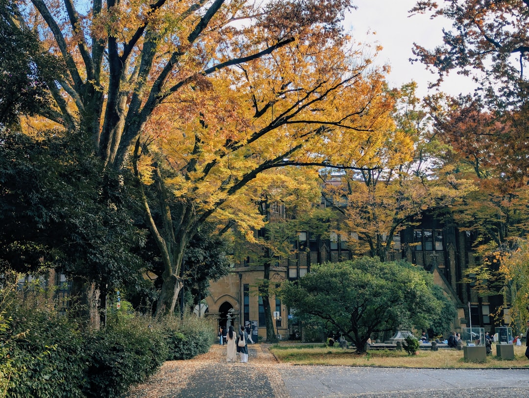 Autumn trees with yellow and orange leaves in a park.